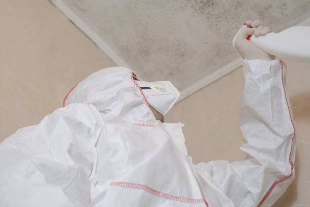 Best Professional Mold Removal  in Riverton, UT